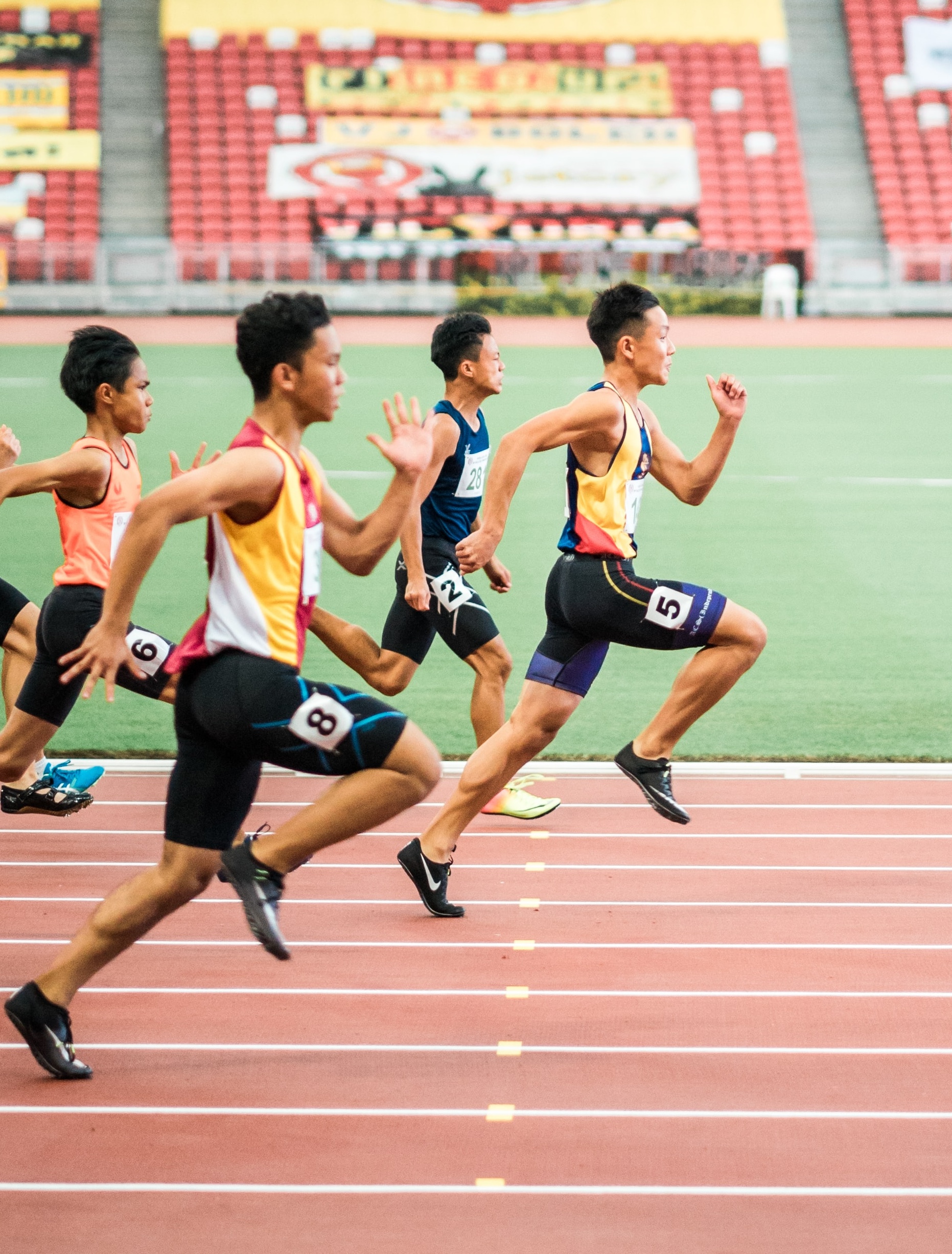 Niveau 2 - Compétences & Motivation